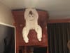 cabin monkey towel sculpture