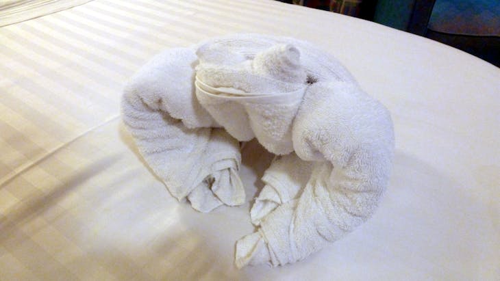 Towel frog - Adventure of the Seas