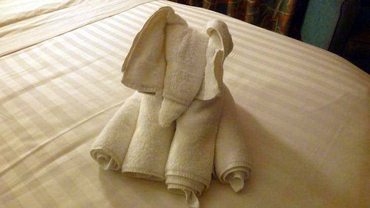 Basseterre, St. Kitts - Towel elephant