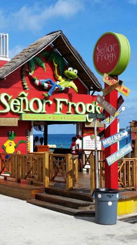 Senor Frog Nassau - Allure of the Seas
