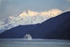 Glacier Bay Cruise Ship