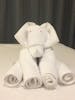 First towel animal