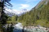 Hiking Tongass National Forest on the Heli, Hike & Rail Excursion in Skagway 