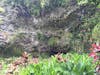 Fern Grotto in Kauai