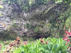 Nawiliwili, Kauai - Fern Grotto in Kauai