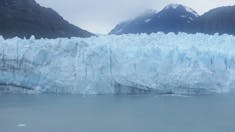 Cruise Glacier Bay - Glacier Bay