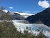 Mendenhall glacier - this one is shrinking.