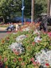 A park in North Vancouver