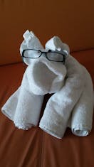 puppy towel art with my glasses