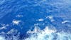 Blue waters of the Western Caribbean