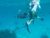 Snorkling with the fish in Cozumel