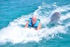 Dolphin push on boogie board in Cozumel