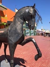 Ensenada, Mexico - Horse in downtown Ensenada