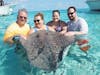 The grand cayman stingrays are AMAZING