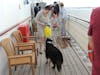 QE2 Dogs deck.