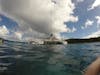 Snorkeling - Turtle Cove - St. Thomas