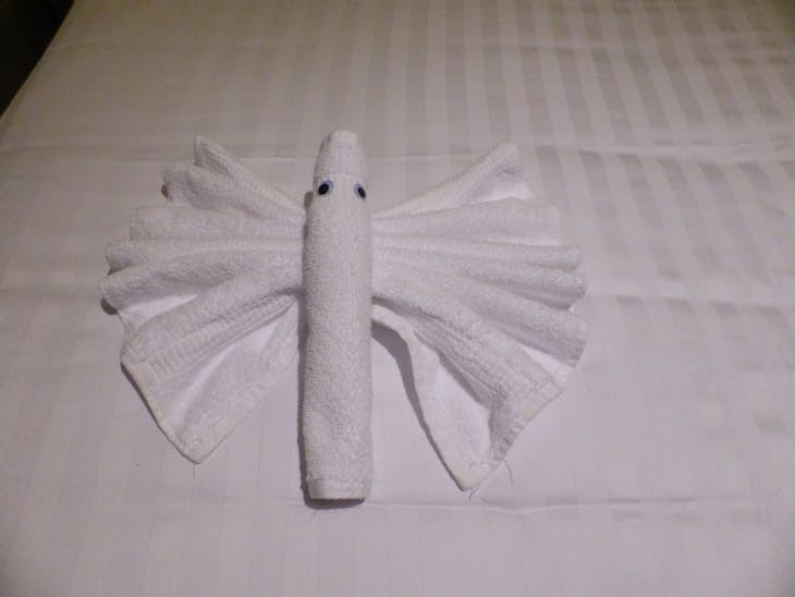 Towel animal - Koningsdam