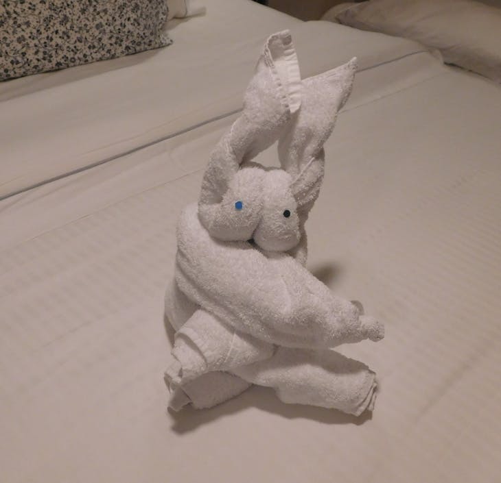 Rabbit - Norwegian Escape