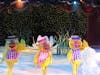 Ice show