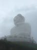 Phuket Giant Buddah