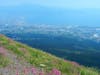 Mt.Vesuvius View to Sorrento