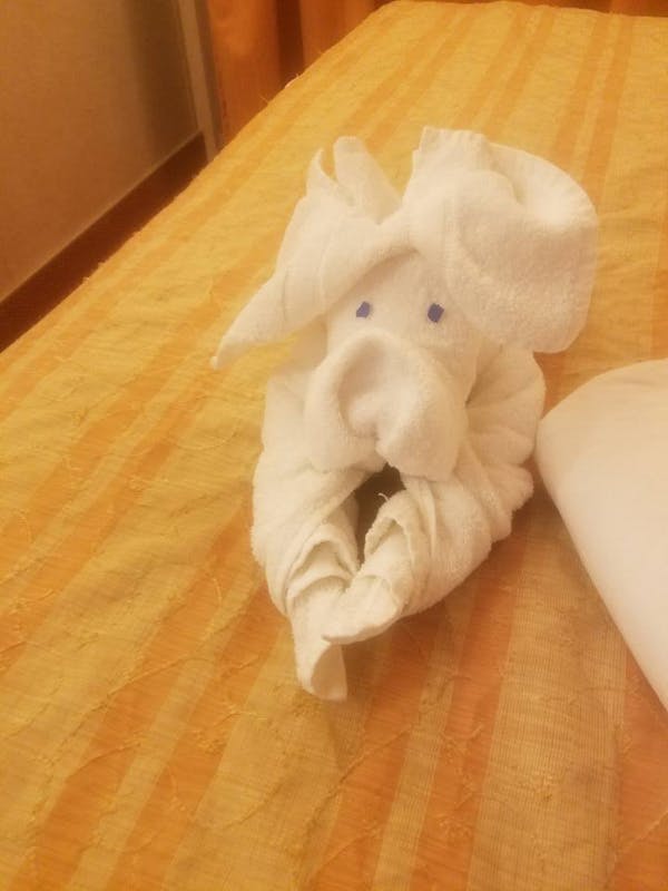 Towel Animals everyday - Carnival Conquest