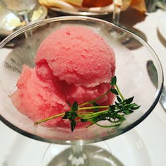 Palate cleansing sorbet