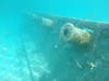 Coco Cay Snorkeling