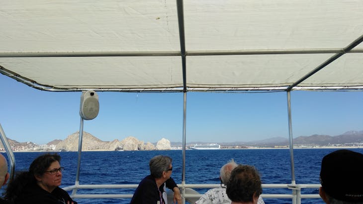 Cabo San Lucas, Mexico - Whale Watching