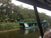 Jungle cruise - Costa Rica