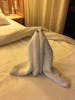 Nightly room towel animals