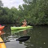 Mangrove Forest,Bonair