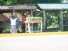 Costa Maya selling pineapples
