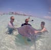 Stingray City Caymans