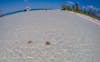 Starfish point Caymans