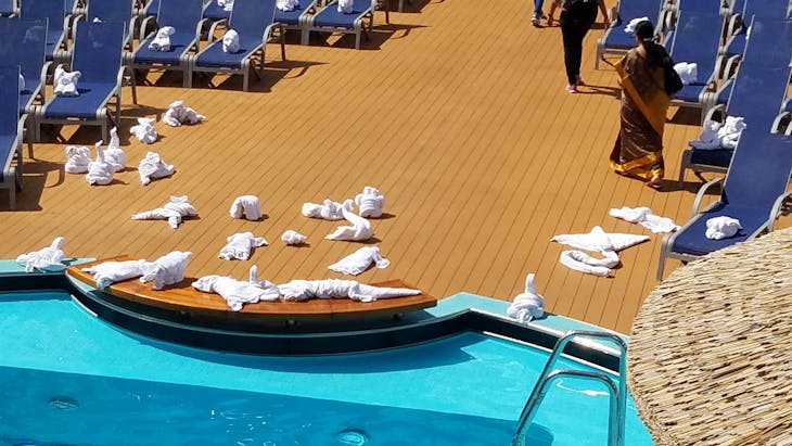 Towel animals have taken over deck 10 - Carnival Breeze