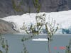 John Hopkins Glacier Juneau