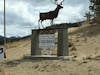 Carcross in Yukon