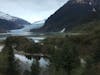 Mendenhall Glacier