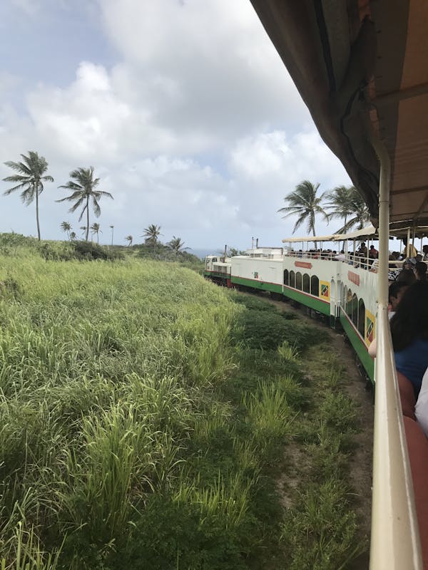 Basseterre, St. Kitts - Complete Trip Around Island By Train & Buss