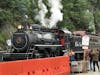 Train at Skagway