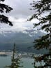 A view from Mount Roberts Tramway