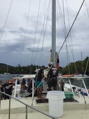 Mahogany Bay, Roatan, Bay Islands, Honduras - Jolly Roger Catamaran and Snorkel 