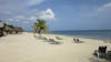 Beach Horseback Riding and Swim in Roatan Honduras