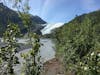 Exit Glacier from the approach road