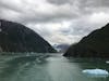 Tracy Arm and Sawyer Glacier