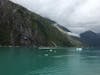 Tracy Arm