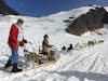 Dogsledding