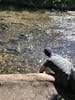 My husband trying to catch salmon with his bare hands!