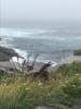 Peggy's Cove